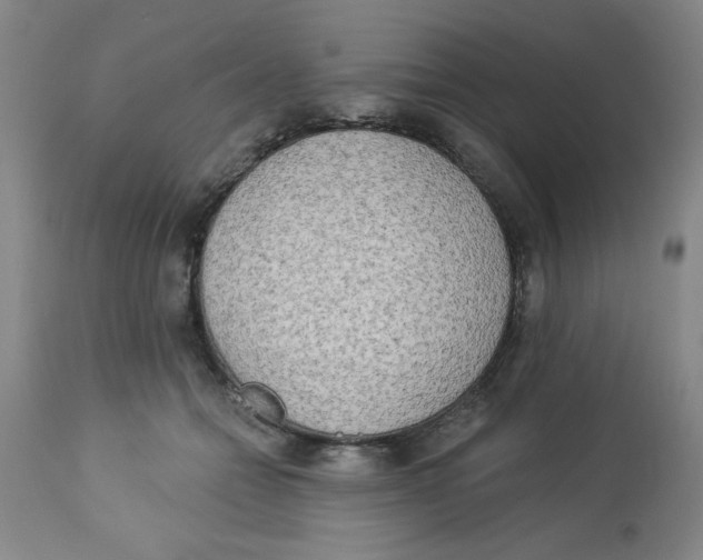 X0000112820558200909181627