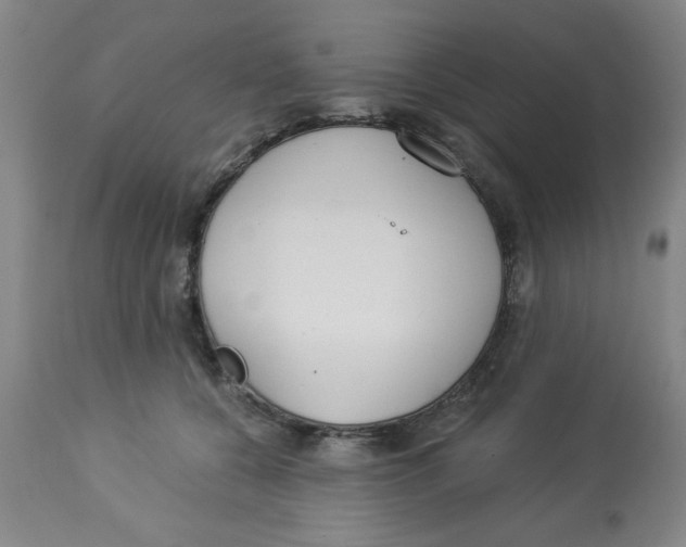 X0000112820560200909181627