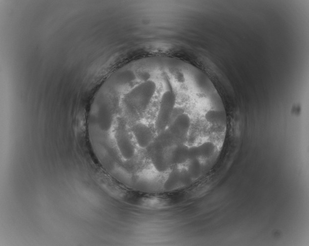 X0000112820561200909181627