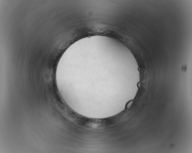 X0000112820563200909181628