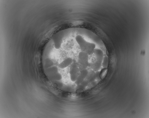 X0000112820565200909181628