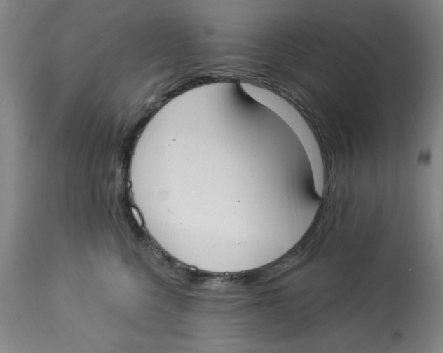 X0000112820568200909181628