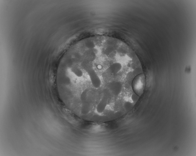 X0000112820569200909181628