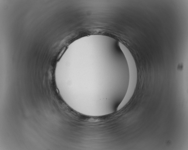 X0000112820570200909181628