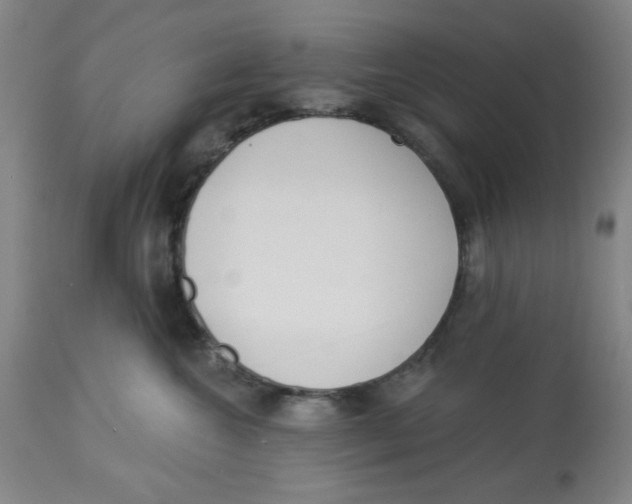 X0000112820572200909181628