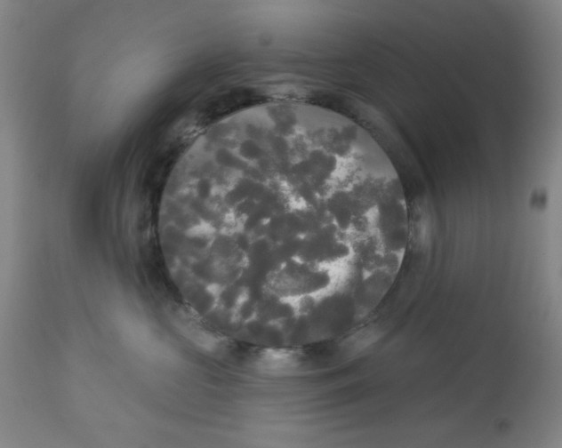 X0000112820573200909181628