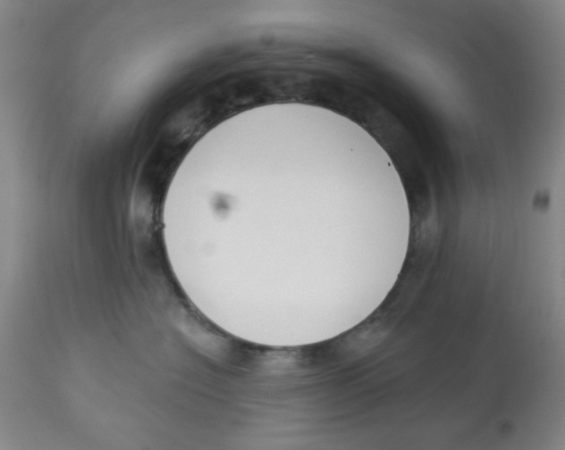 X0000112820574200909181628