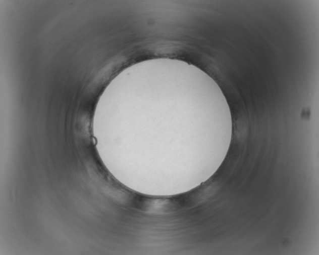 X0000112820575200909181628