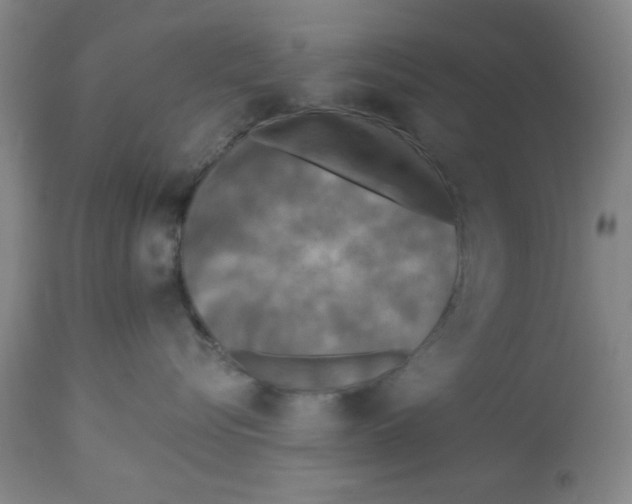 X0000112820576200909181628