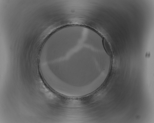 X0000112820577200909181627