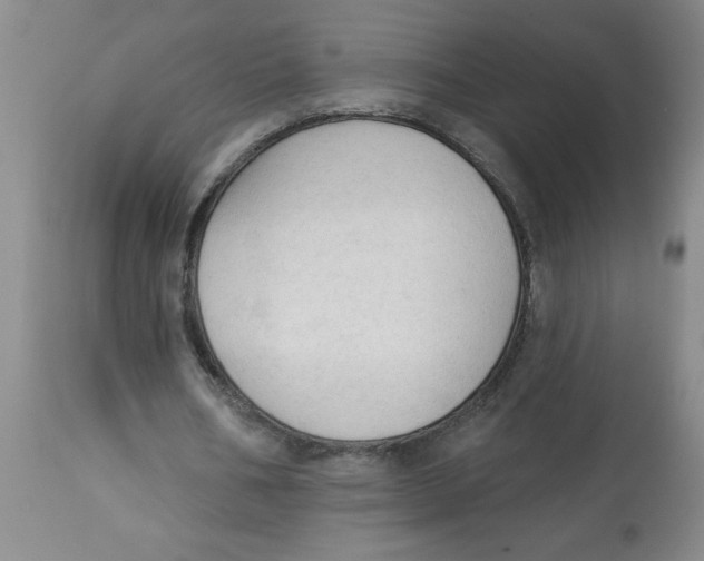 X0000112820578200909181627