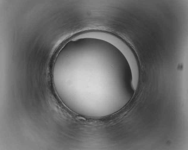 X0000112820579200909181627