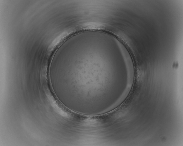 X0000112820581200909181627