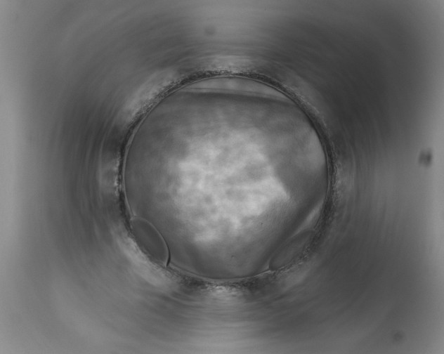 X0000112820585200909181627