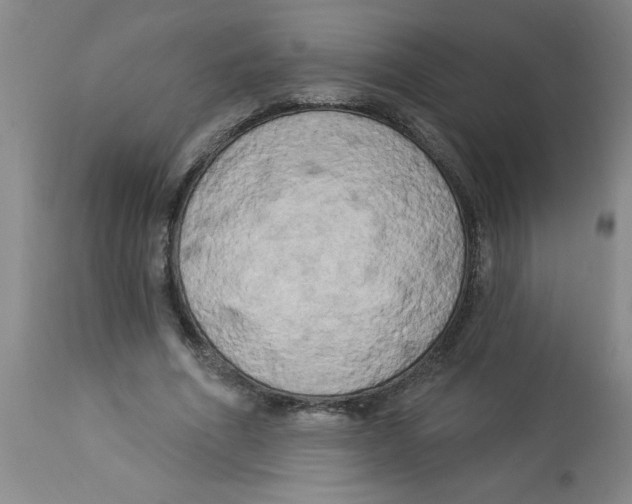 X0000112820586200909181627