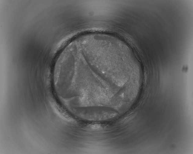 X0000112820588200909181627