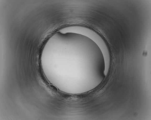 X0000112820589200909181627