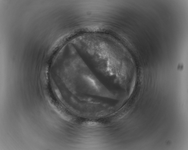 X0000112820590200909181627