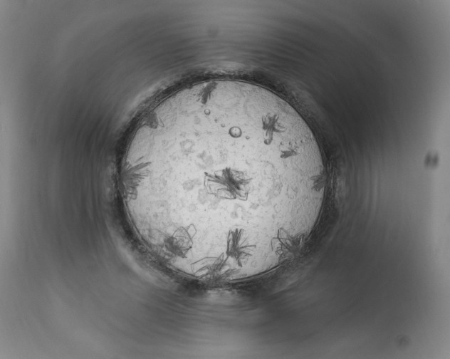X0000112820591200909181627