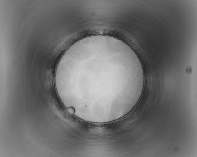 X0000112820594200909181627