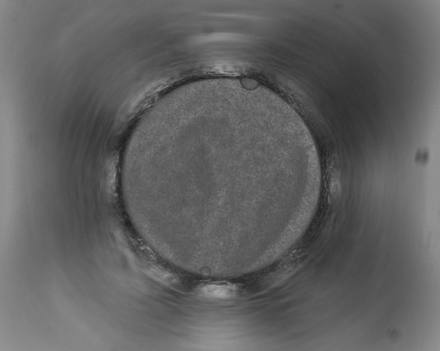 X0000112820595200909181627