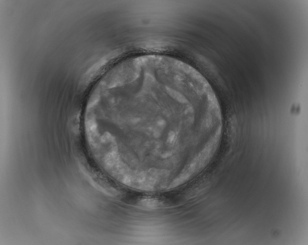 X0000112820596200909181627