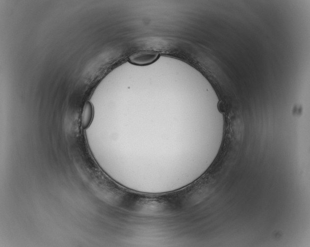 X0000112820597200909181627