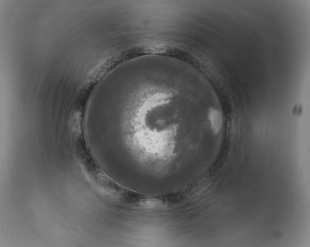 X0000112820598200909181627