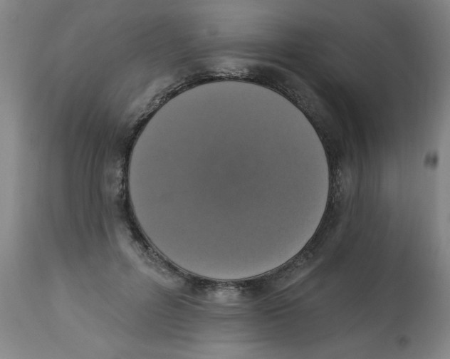 X0000112820600200909181627