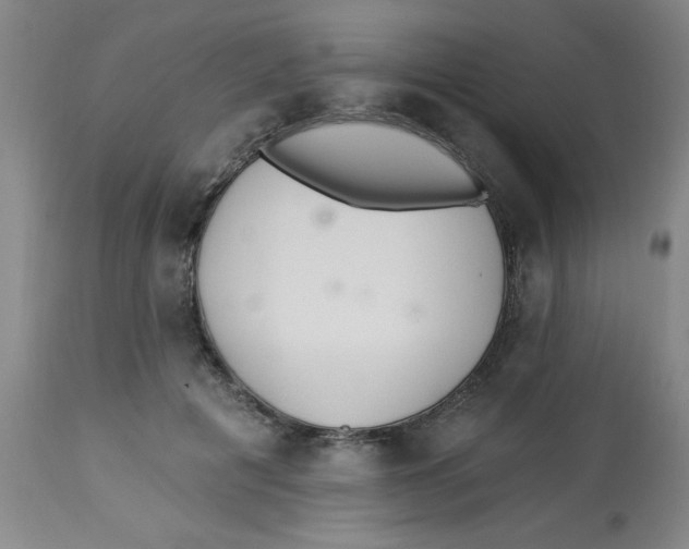 X0000112820601200909181627