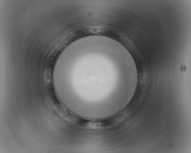 X0000112820606200909181626