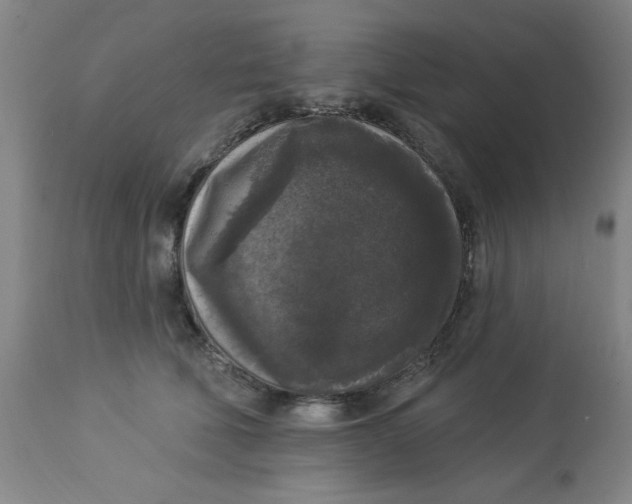 X0000112820610200909181626