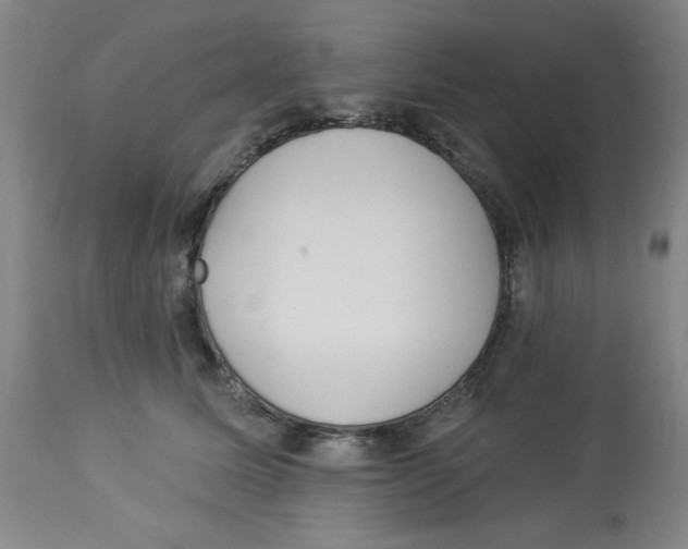 X0000112820611200909181626