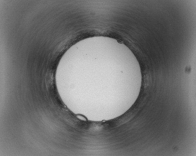 X0000112820613200909181626