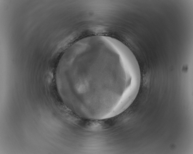 X0000112820618200909181626