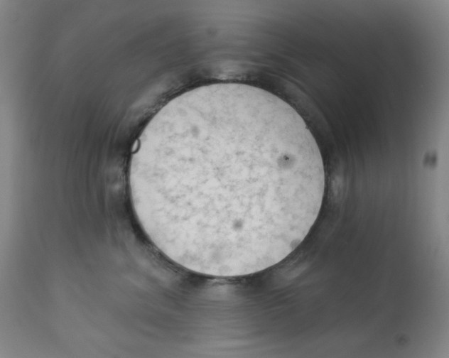 X0000112820620200909181626