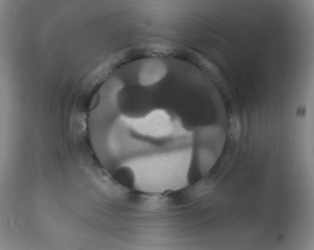 X0000112820621200909181626