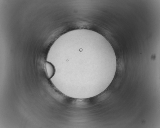 X0000112820622200909181626