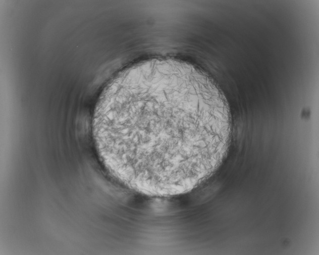 X0000112820623200909181626