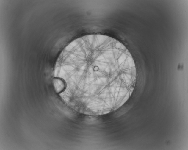 X0000112820624200909181626