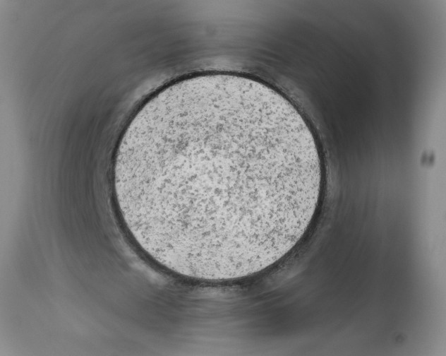 X0000112820625200909181625