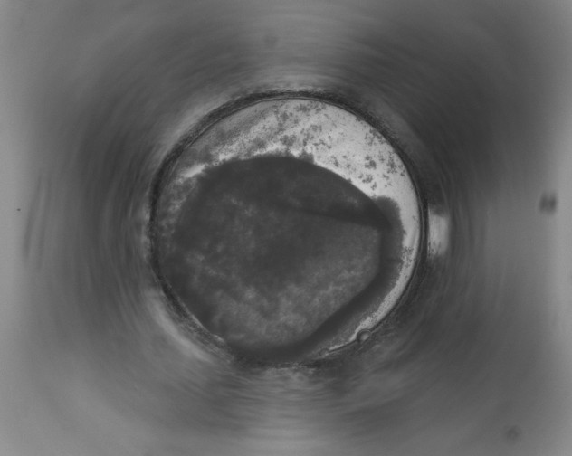 X0000112820627200909181625