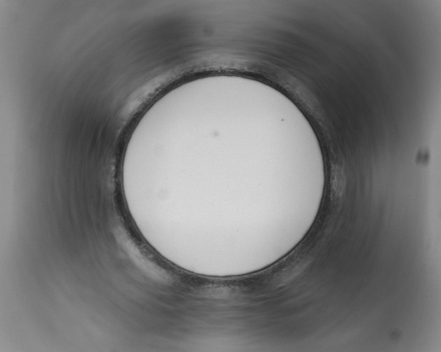 X0000112820629200909181625