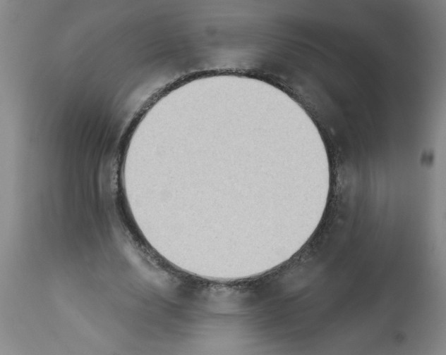 X0000112820632200909181625