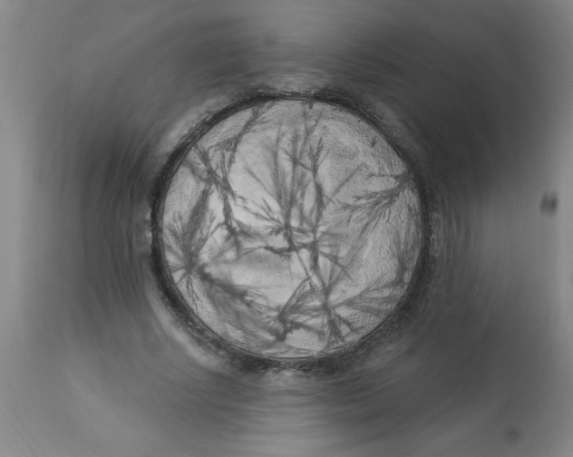 X0000112820634200909181625