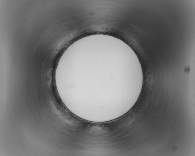 X0000112820635200909181626