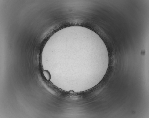 X0000112820638200909181626