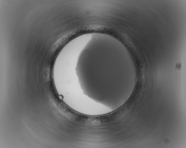 X0000112820640200909181626