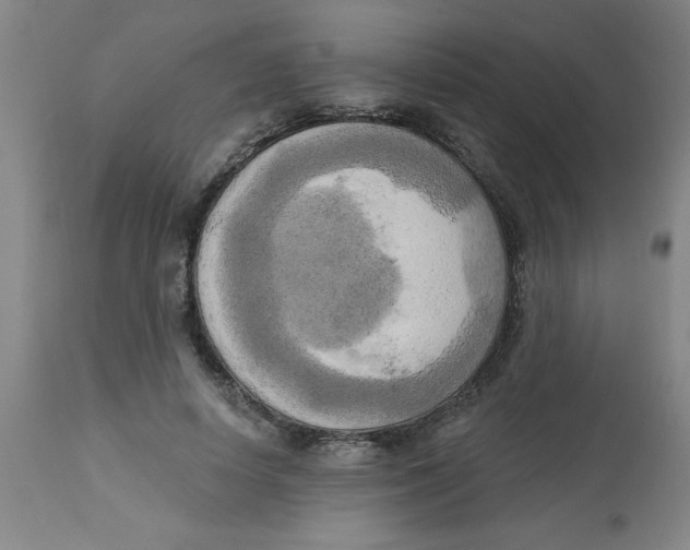 X0000112820642200909181626