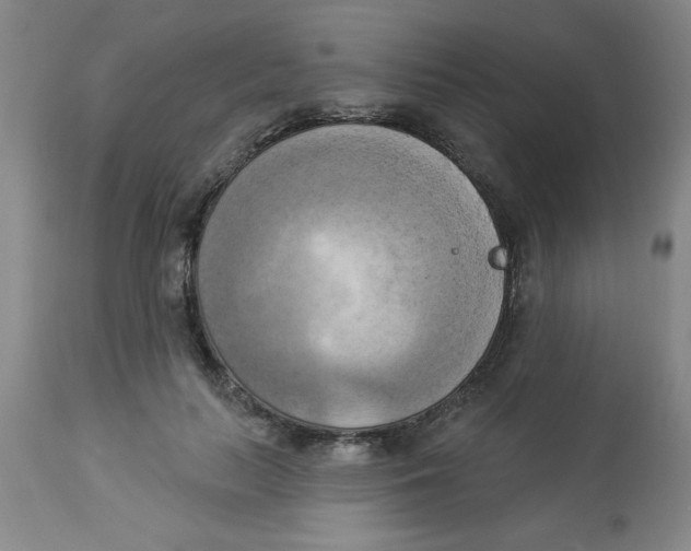 X0000112820647200909181626